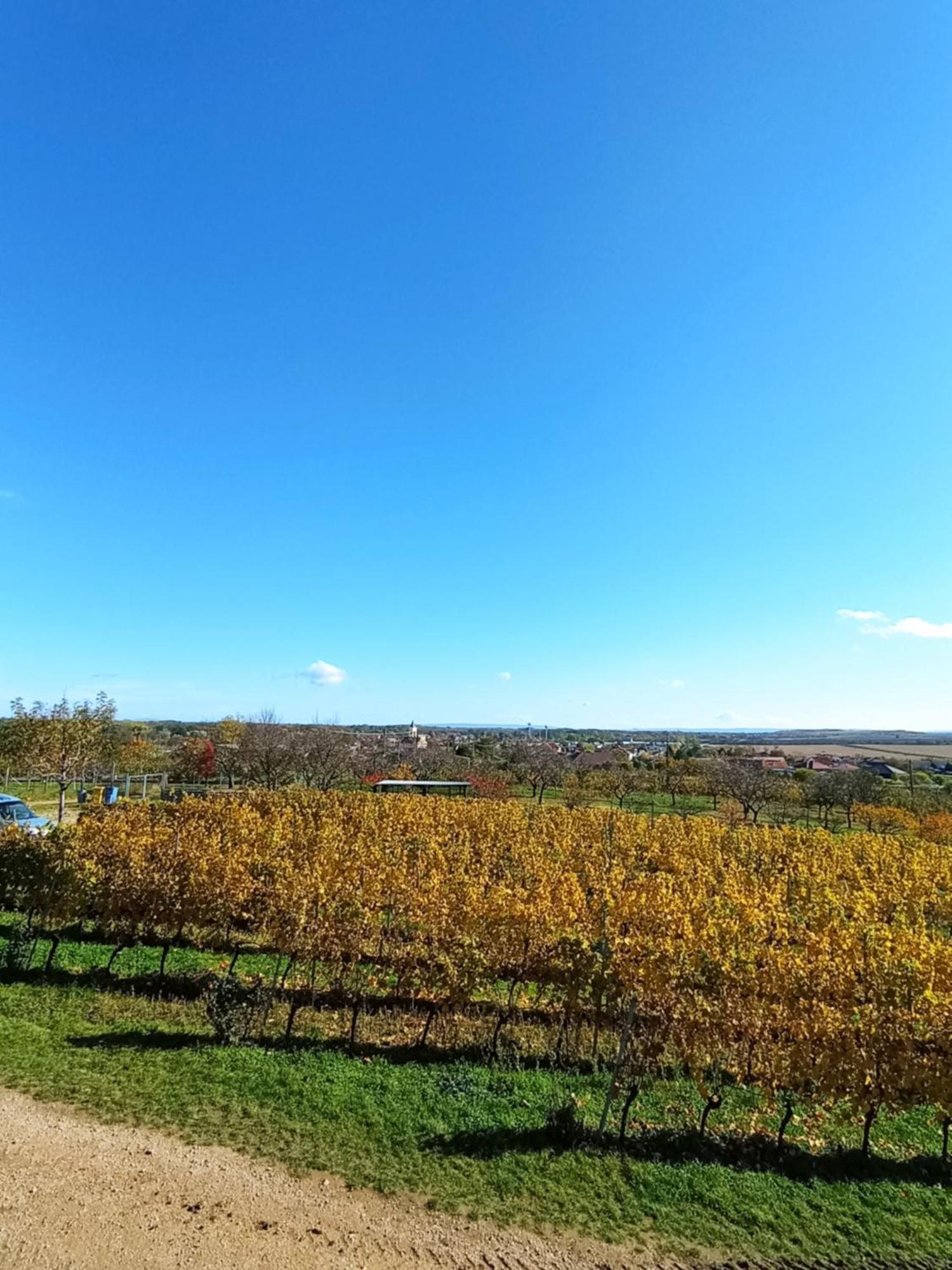 Vinarsky Penzion Strachotice Buitenkant foto